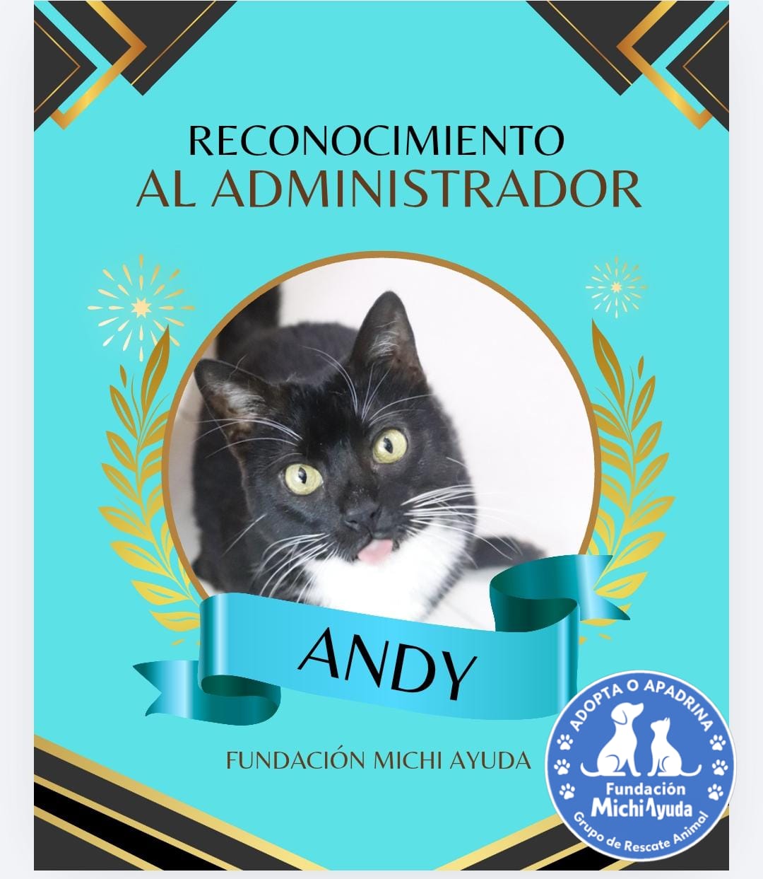 5b0c51f5 F43a 4b25 Bc50 2df50d9fcbd0