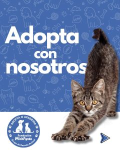 Home adopta