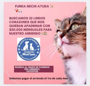 Home whatsapp arriendo